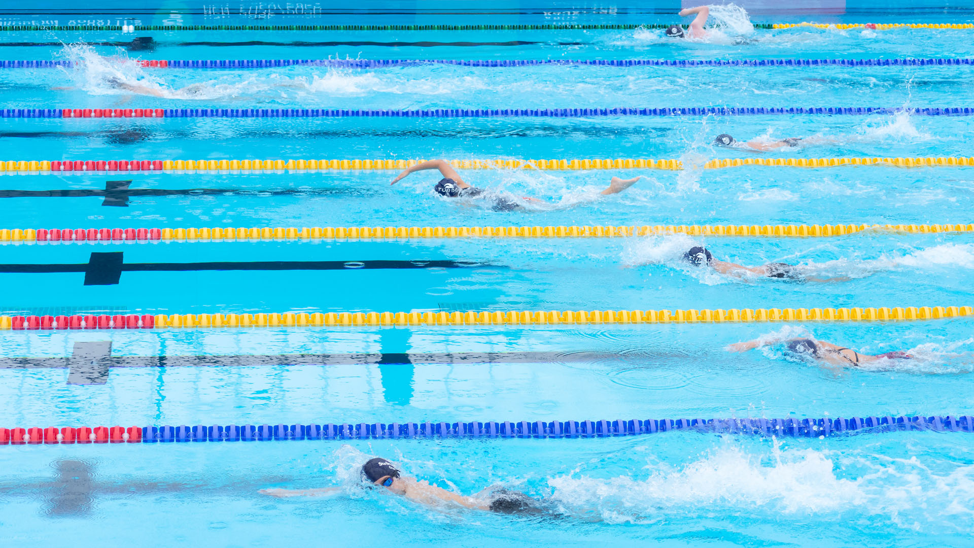 Swimathon Oradea